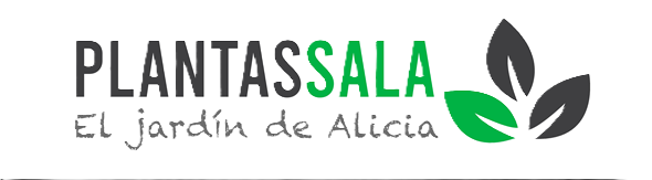 Plantas Sala